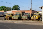 Vintage trucks in the early morning